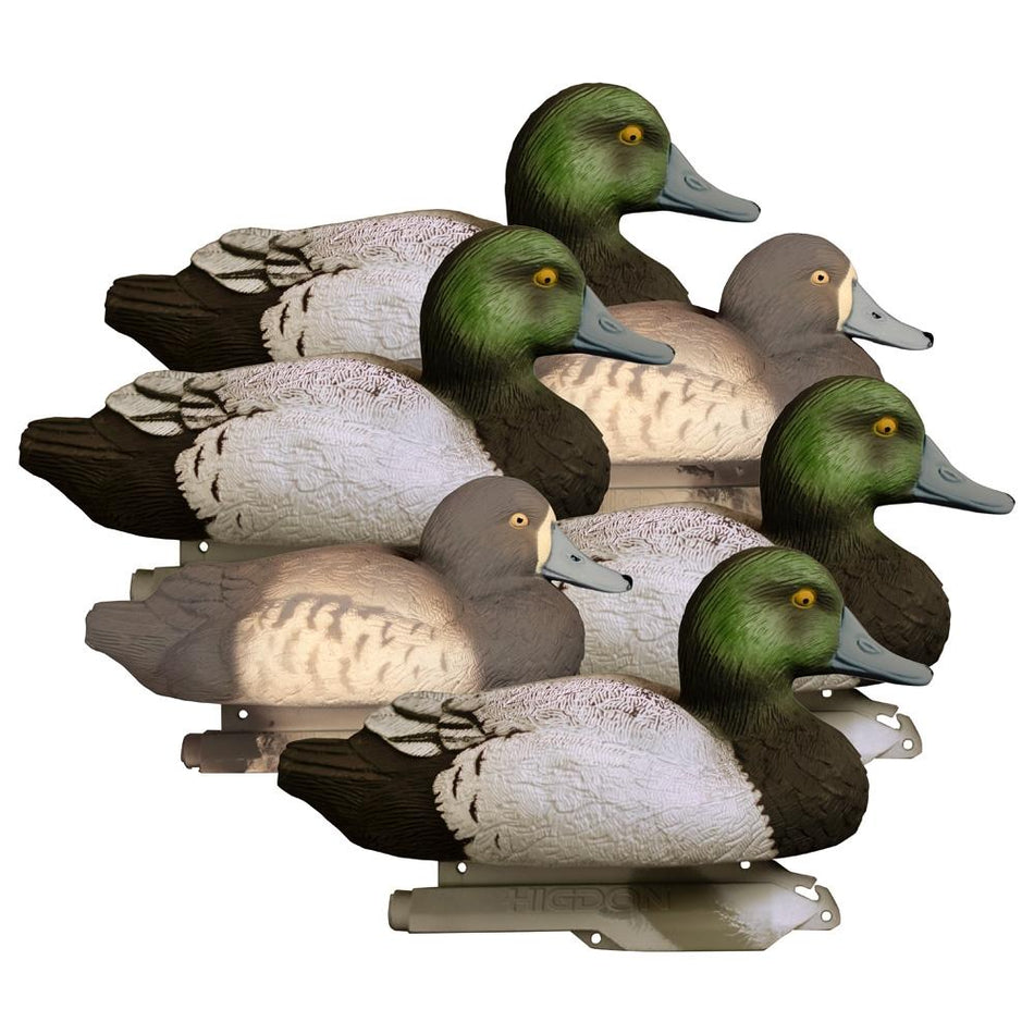 Higdon Standard Foam Filled Bluebill Duck Decoys 6-Pack