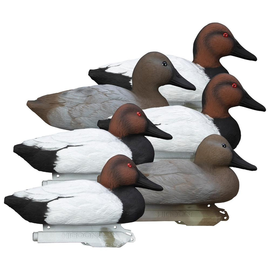 Higdon Outdoors Canvasback Standard Foam Filled Decoy Set 6 Pieces
