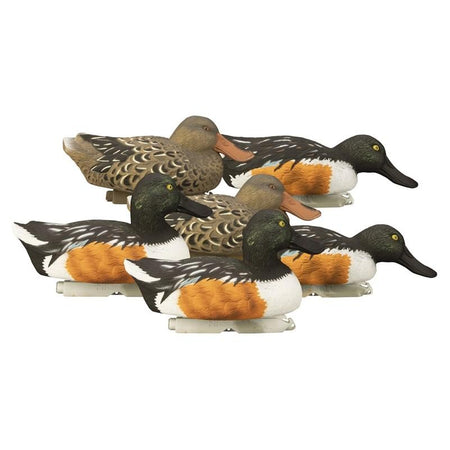 Higdon Standard Shoveler Foam-Filled Decoy 6pk - 2 Upright Drakes, 2 Skimmer Drakes, 2 Hens