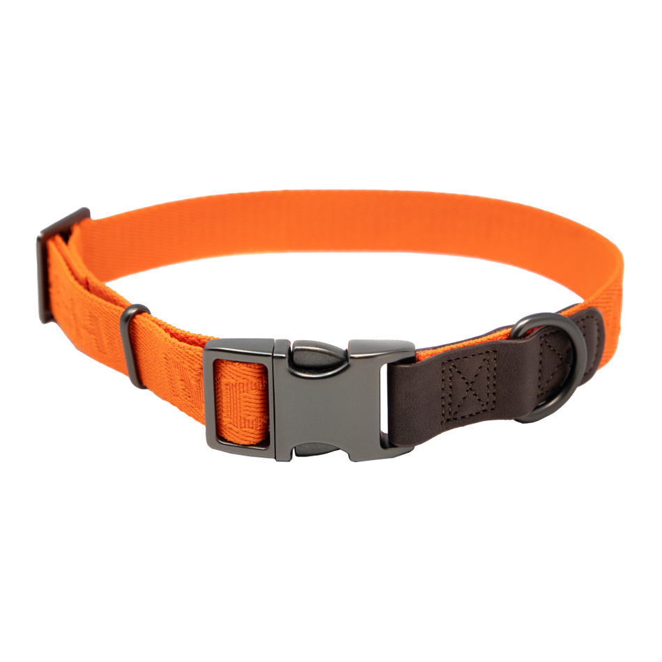 MoMarsh Adjustable Dog Collar 15"-23" - Hunter Orange with Stainless Hardware