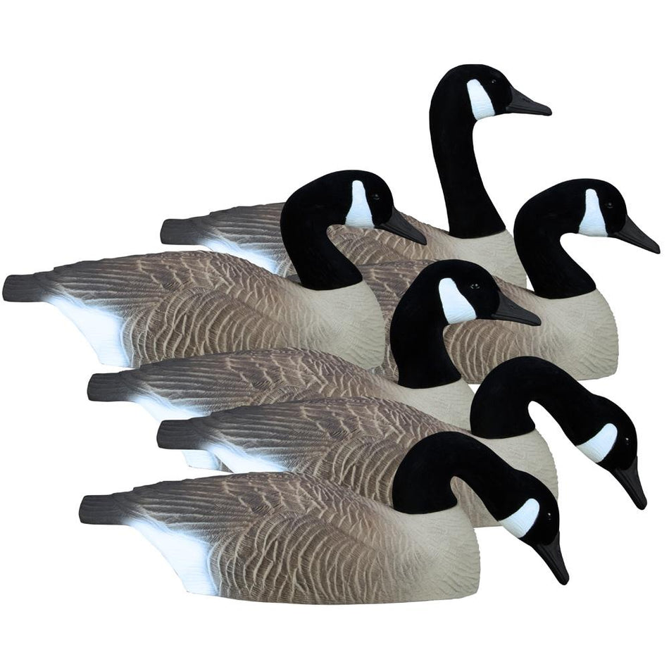 Higdon Full Size Half Shell Canada Goose Field Shell Decoys 6-Pack