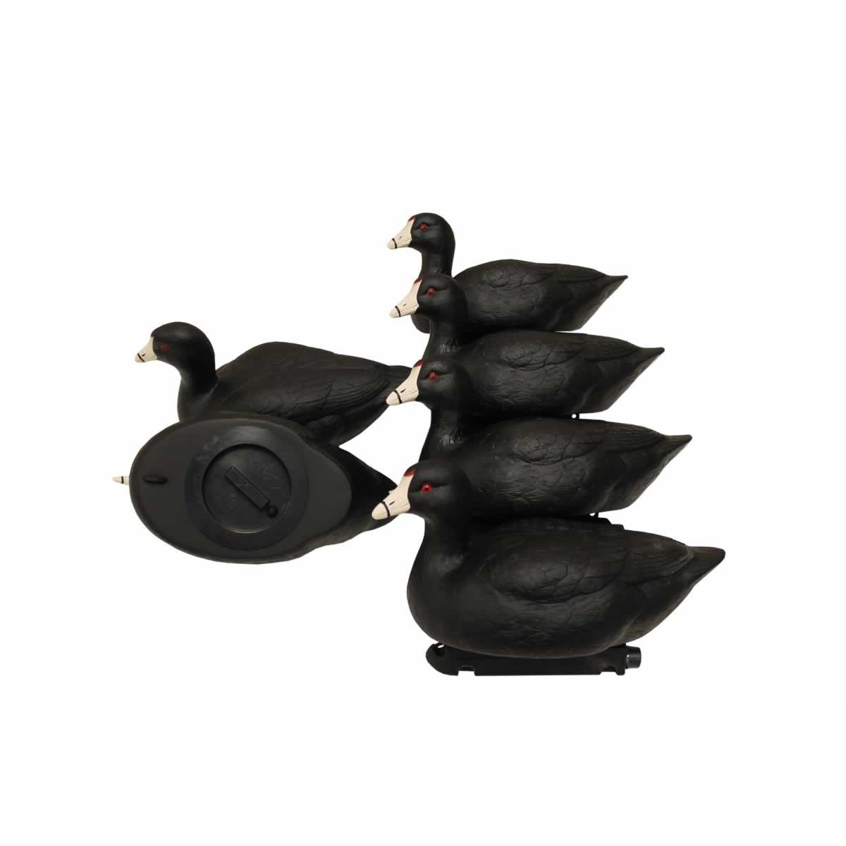 MOJO Coot Confidence Decoys Pack of 6 Including Rippler Motion Decoys
