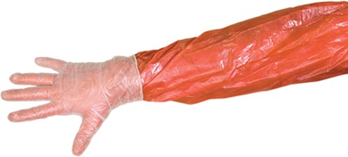 Muddy 4-Pack Field Dressing Glove Kit with Disposable Towelettes