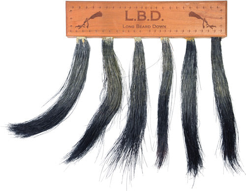 Pittman Long Beard Down Turkey Beard Mount Multi Display