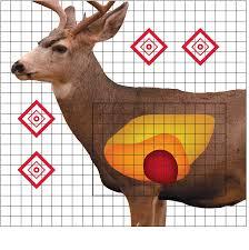 Pro-Shot 25x25 Inch Mule Deer Sight-In Targets with Grid 5 Count