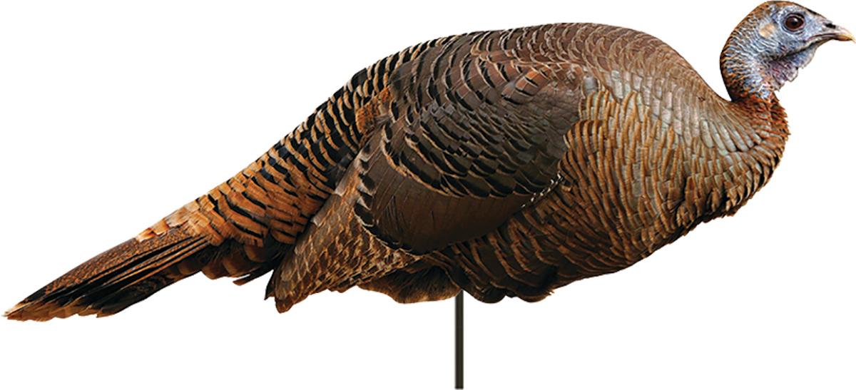 Montana Decoy Spring Fling Hen Decoy for Turkey Hunting