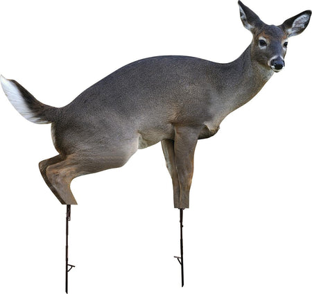 Montana Decoy Co. Betty Estrus Cow Elk Decoy with Poles