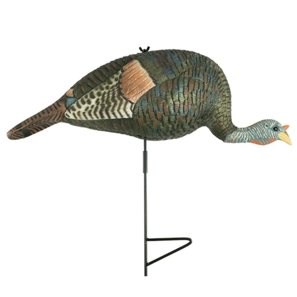 The Grind Bugging Hen Turkey Decoy - Iridescent Feather Detail