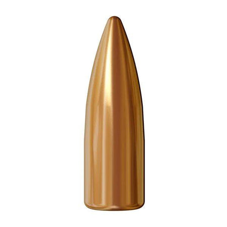 Atlanta Arms Specialty Cartridge .224 55gr FMJ Reloading Bullets 250/ct