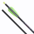 TenPoint Pro Elite 400 Select Arrows 20" .001" 6/ct