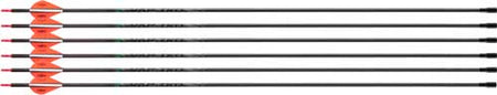 Victory Archery VAP TKO Gamer Arrows Spine 400 Fletched 6-Pack