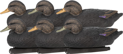 Zink Black Duck Floater Decoys 6 Count
