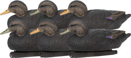 Zink Black Duck Floater Decoys 6 Count