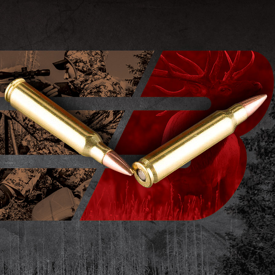 Barnes Centerfire .223 Remington 55 grain Hollow Point Boat Tail ammunition