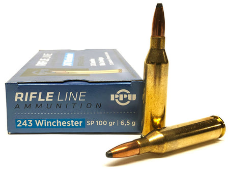 Prvi Partizan  .243 Winchester 100 Gr JSP