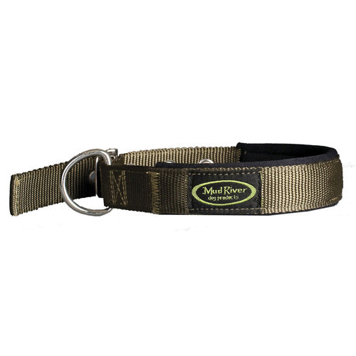 Green Medium Swagger Neoprene-Lined Nylon Dog Collar with Nickel Buckle