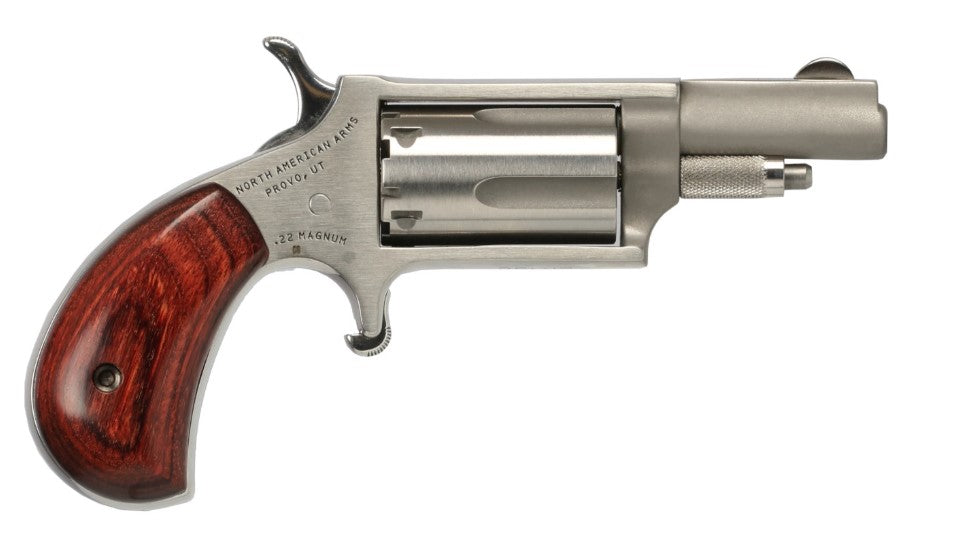 22MAG MINI REV 1-5/8" SS NAA-22MSTD