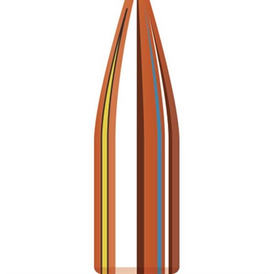 Match 22 Caliber 0.224" Hollow Point Reloading Bullets