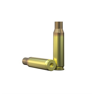 .308 Winchester Reloading Brass