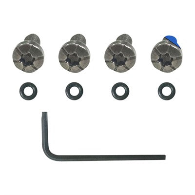 Ruger 22/45 and SW22 Victory Titanium Grip Screw Set