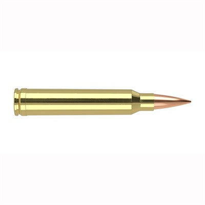 Nosler Trophy Grade .300 WSM 190 grain Nosler Spitzer AccuBond Long Range ammunition