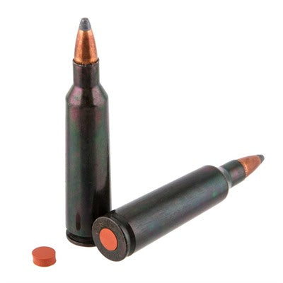 Traditions 2-Pack Rifle Training Cartridge 22-250 Remington