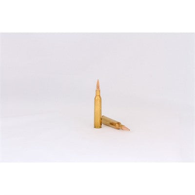 HSM Trophy Gold Rifle Ammunition 6mm Remington Berger 95 gr. 20 rd.