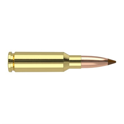 Nosler Ballistic Tip 6.5mm Grendel 120 grain SP ammunition