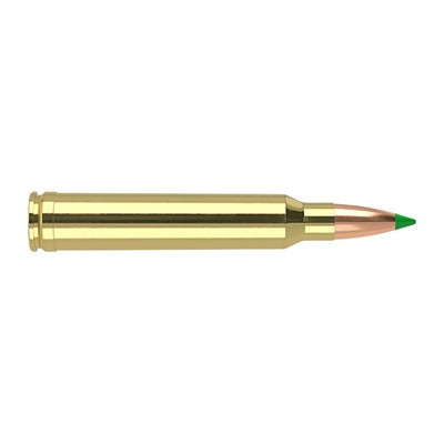 Nosler Hunting .300 Winchester Mag 180 grain Spitzer Ballistic Tip ammunition
