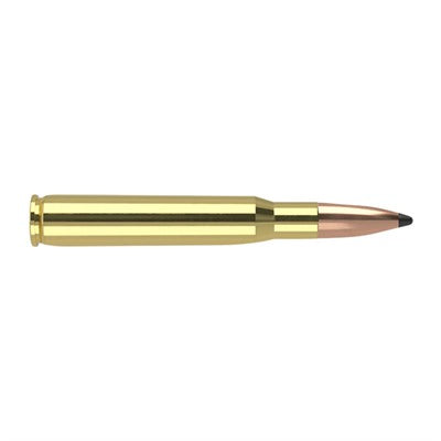 Nosler Trophy Grade Partition 165 Grain .30-06 Springfield