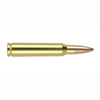 Nosler Match Grade Custom Competition Hollow Point Boat Tail 69 Grain .223 Remington 2900 fps