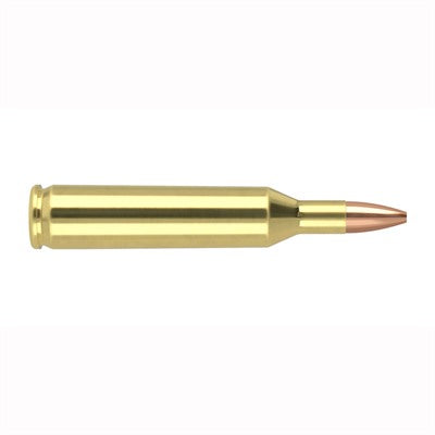 Nosler Varmageddon .17 Remington 20 grain Flat Base Hollow Point ammunition