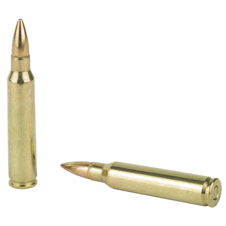 PMC - .223 Remington Bronze FMJBT 55Gr Target Ammunition