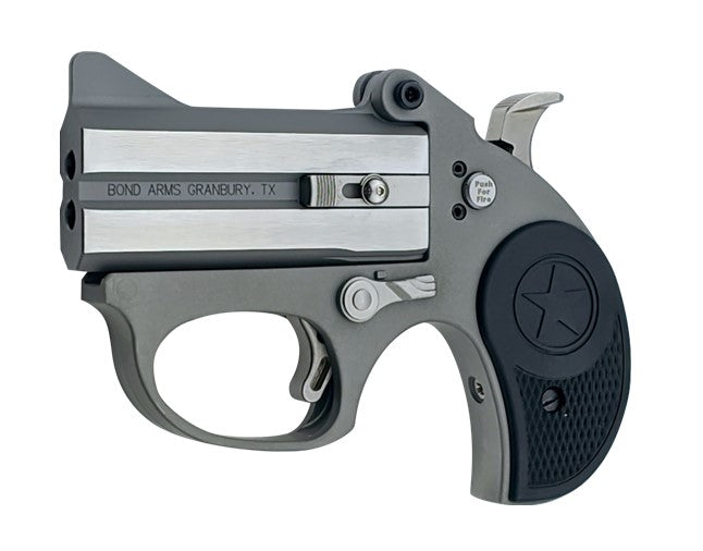 Bond Arms BASRS Stinger 22 LR 2 Shot 3" Rough Matte Stainless Steel Barrel & Frame, Black Nylon Grips